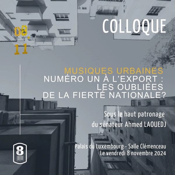 Participation à un colloque sur le rap au Sénat