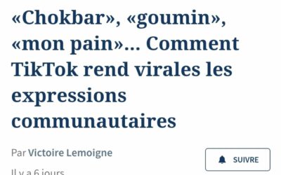 Interviewé sur les mots des jeunes par Le Figaro