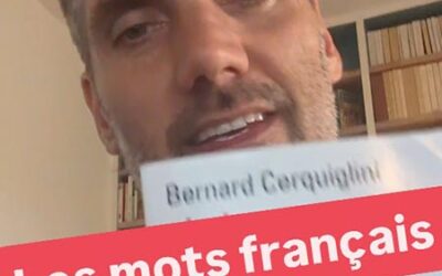 Les mots français en anglais