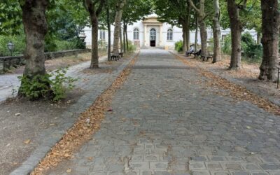 Mon activité préférée : déambuler dans la ville