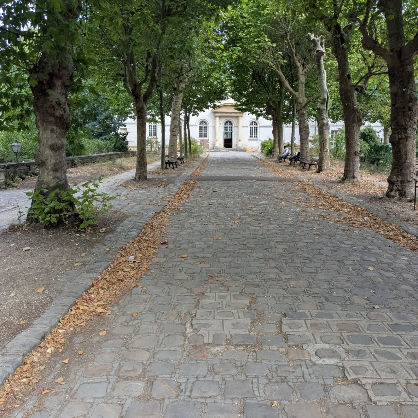 Mon activité préférée : déambuler dans la ville
